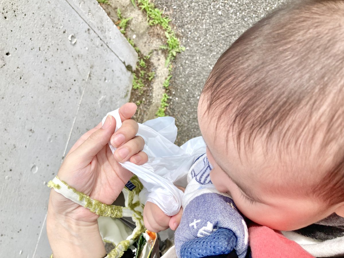 ayainc's tweet photo. 老舗の小さな和菓子屋さんで水羊羹と特選おにぎりを買った帰り道、一緒にビニール袋持っててくれてた🫶
君もそのうち食べられるよ🍙 https://t.co/rXIZm9yrNZ