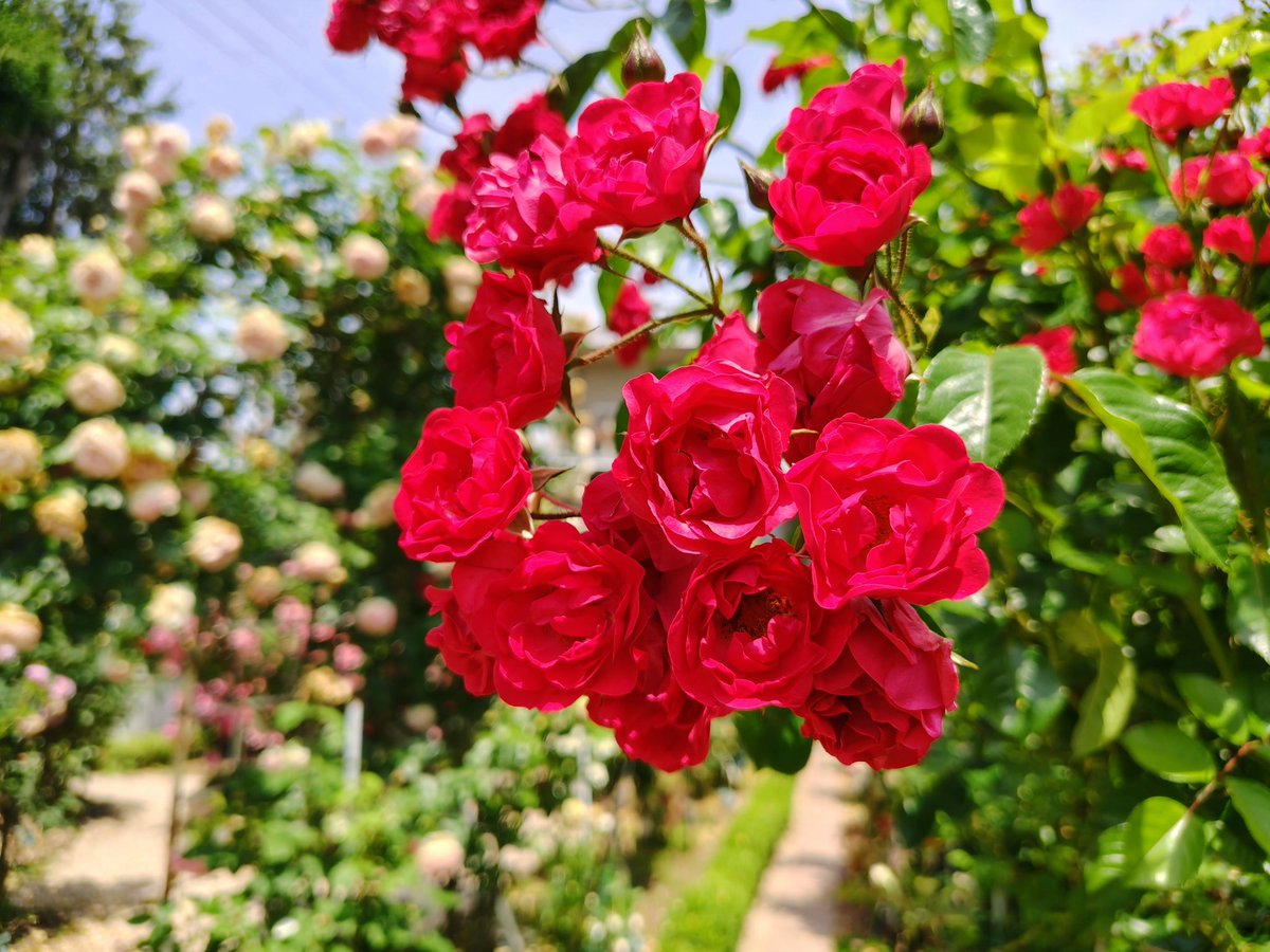 t6ogyellow's tweet photo. https://t.co/0yjy58mUMX