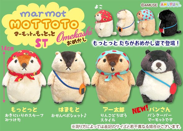 マーモットのもっとっと【公式】 (@AMUSE_marmot) / Posts / X