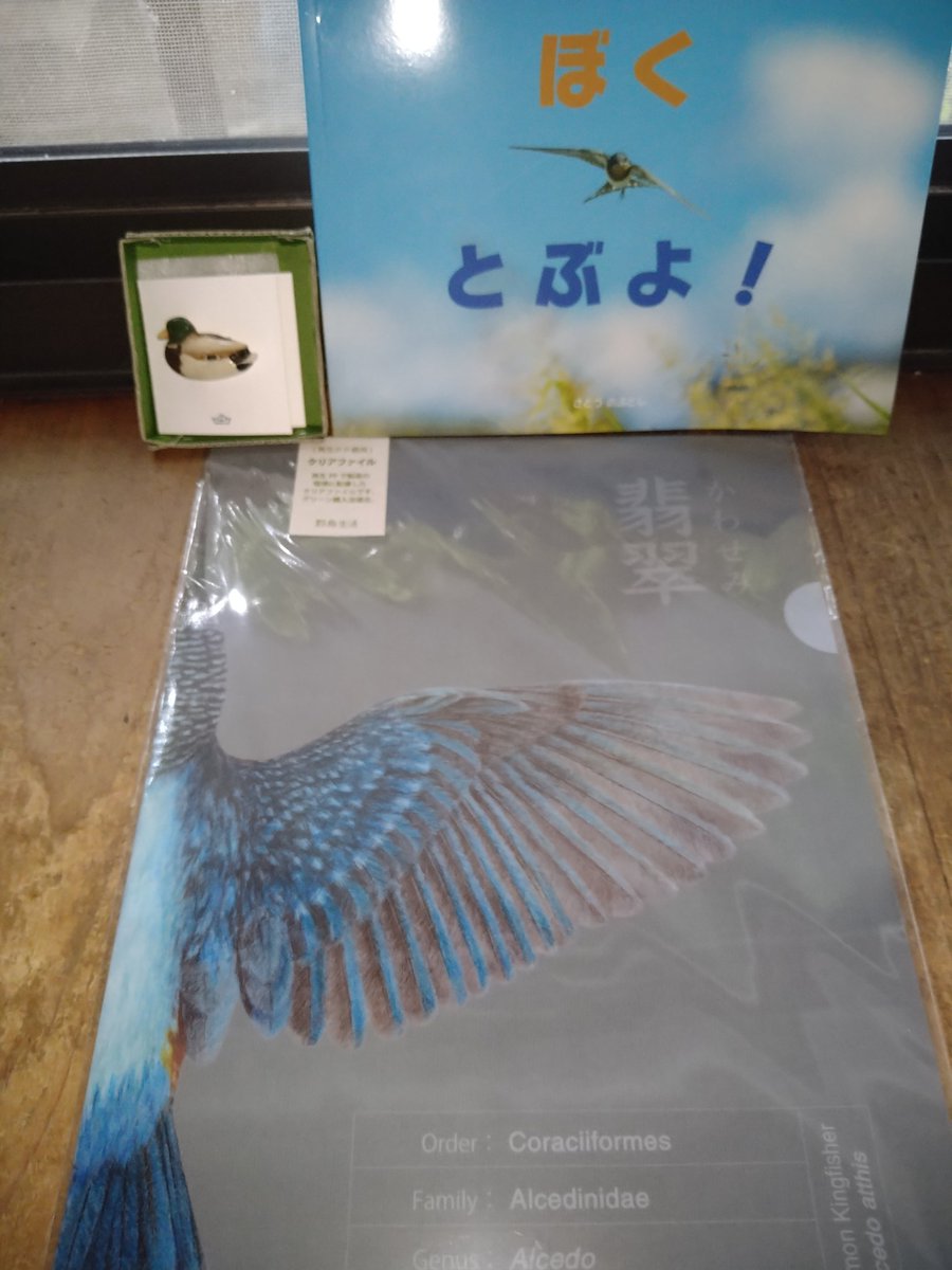 703falconala283's tweet photo. 「鳥のこと」展に行けなかったので、通販でお買い物🎵

野鳥生活さんのカワセミの
クリアファイル。翼と尾羽の色や模様が綺麗です。

佐藤信敏さんのツバメの写真絵本。巣立ちヒナが親鳥と一緒に南の国に旅立つまでのおはなし。

Arkkiさんのマガモブローチ
丸みがあって優しい色使いがいいね。 https://t.co/awzs9evUww