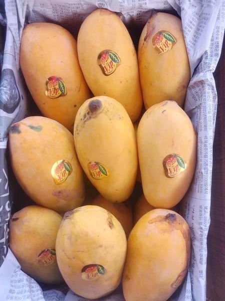 oye_New_Bie's tweet photo. Sindheri or Chounsa ? https://t.co/7pqTLtePvn
