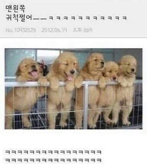 BAS_immida's tweet photo. 맨 오른쪽 귀척 쩔어♡ https://t.co/Qgb970Kh3X