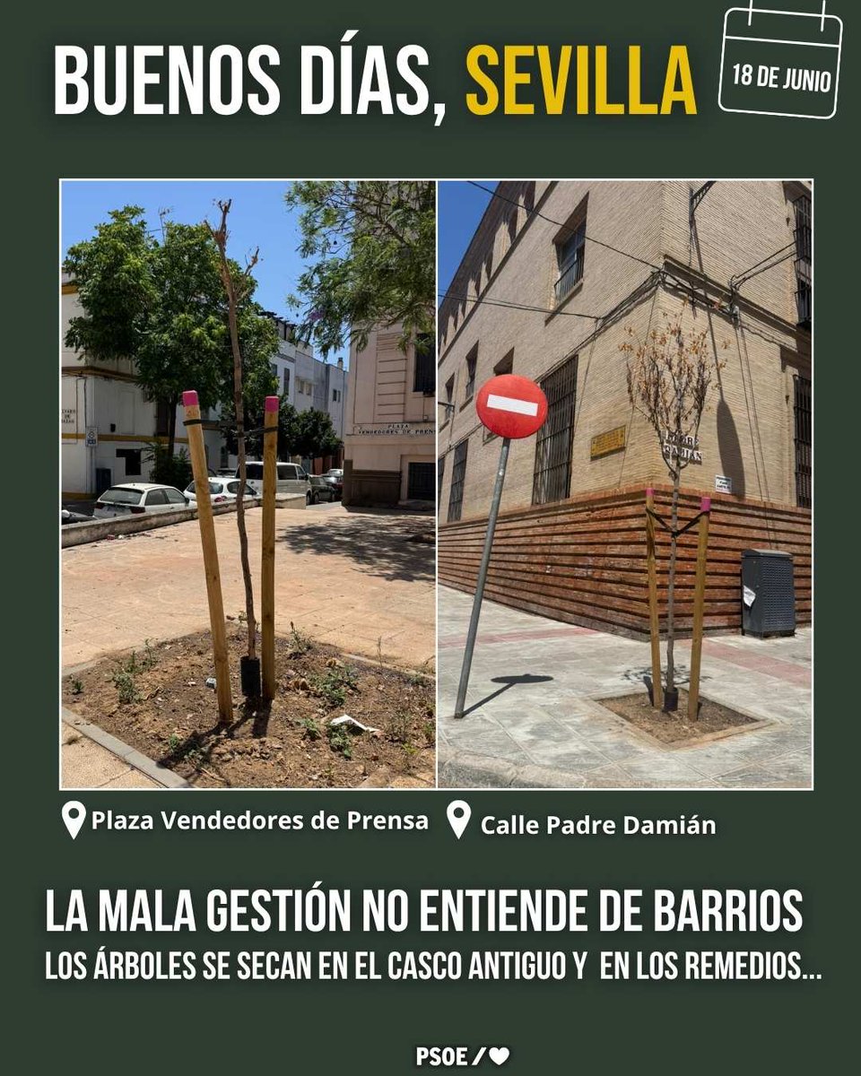 PSOEAytoSevilla's tweet photo. La incompetencia se extiende por toda la ciudad.
#SevillaEnMarchaAtrás https://t.co/5XK6te2Dfd