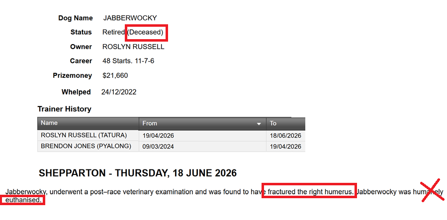 susanamet's tweet photo. #deadgreyhoundsaus **footage warning**

"Jabberwocky" suffered a right humerus fracture at Shepparton Victoria this afternoon. He's dead, euthanised at the track. Horrific.

Clearly suffering, likely crying out in pain. So cruel.

Three and a half years young, used 48 times, $21,660 in prizemoney for some humans, now dead.

Rest in Peace 🤍
Born: 24 December 2022
Dead: 18 June 2026 Shepparton Victoria

#bangreyhoundracing 

Replay and report:
https://t.co/Q6JnTkM97F