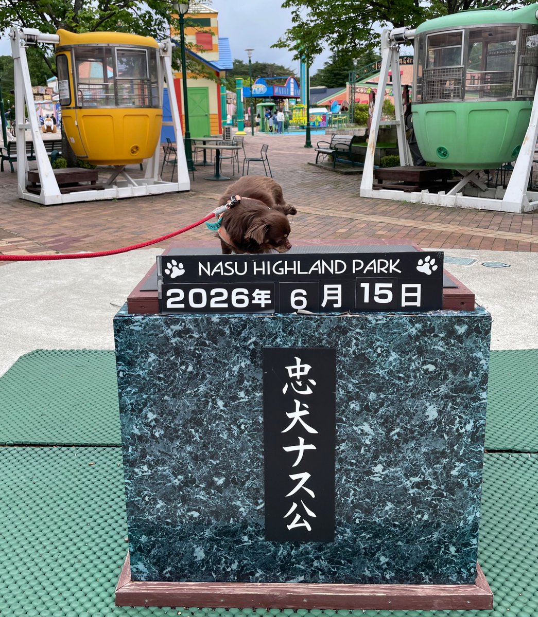 ohchoco0531's tweet photo. みんなで那須にお出かけ🚗
楽しそうにお散歩したり(普段はさせられてる感満載😅)、誰もいないドッグランで好きなように散策したり、普段とは違うチョコちゃんの姿が見られて楽しい旅でした🐶 https://t.co/Lv2107AKNi