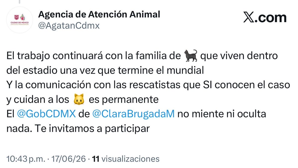 YoAmoaLaCiencia's tweet photo. ¿Confías en que el gobierno del Brugada está protegiendo a los gatos del Estadio Azteca?

Exigimos evidencia sobre el estado en que se encuentran los gatos que viven en este estadio.

Y la Agencia de Atención Animal, solo nos comparte una foto de un gato desde lejos del estadio… 

¿Te es suficiente? ¿Les crees que el resto de los gatos están bien porque la dependencia que dirige Ana Villagrán lo afirma?