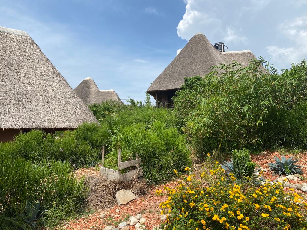 Engoobetours's tweet photo. Join us for community tourism to 
Exprience uganda the pearl of Africa.
Take alook! https://t.co/sXbw46OhSg