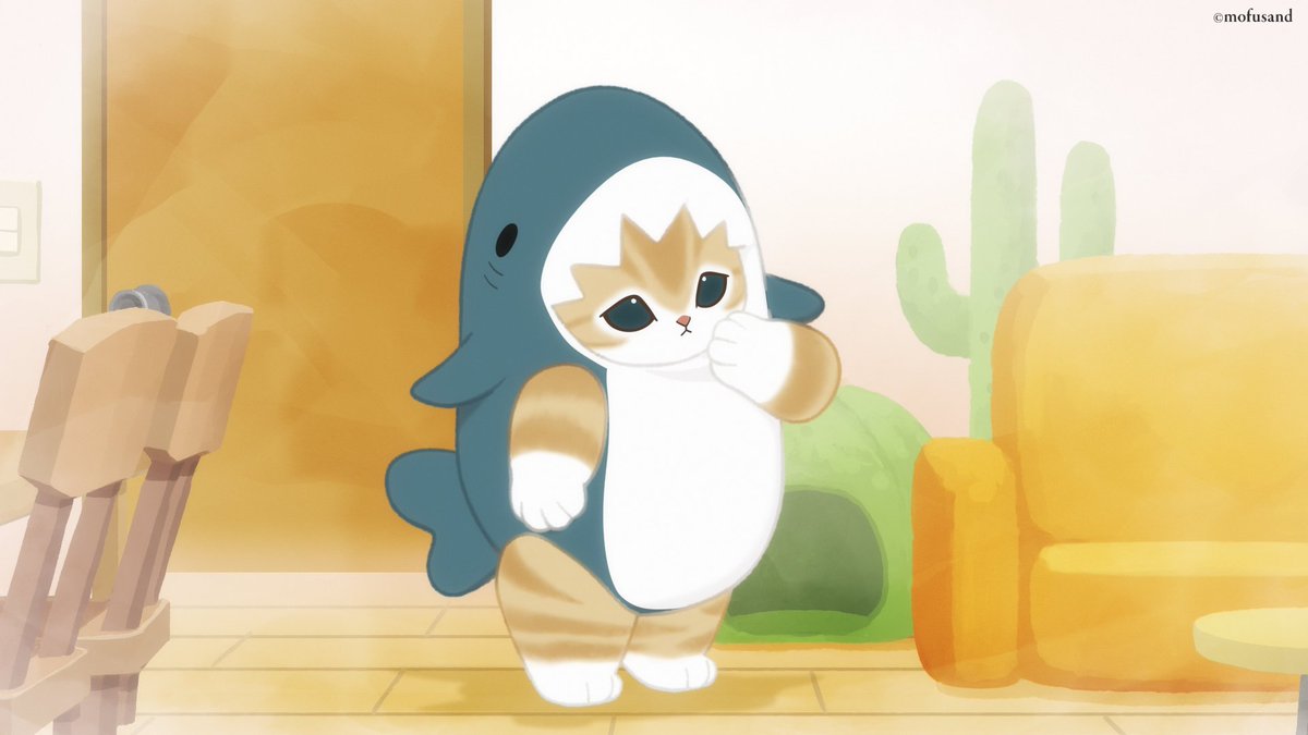 写真で一言 📸】 ちびにゃんはどこに隠れたのかな？まずはどこを探す