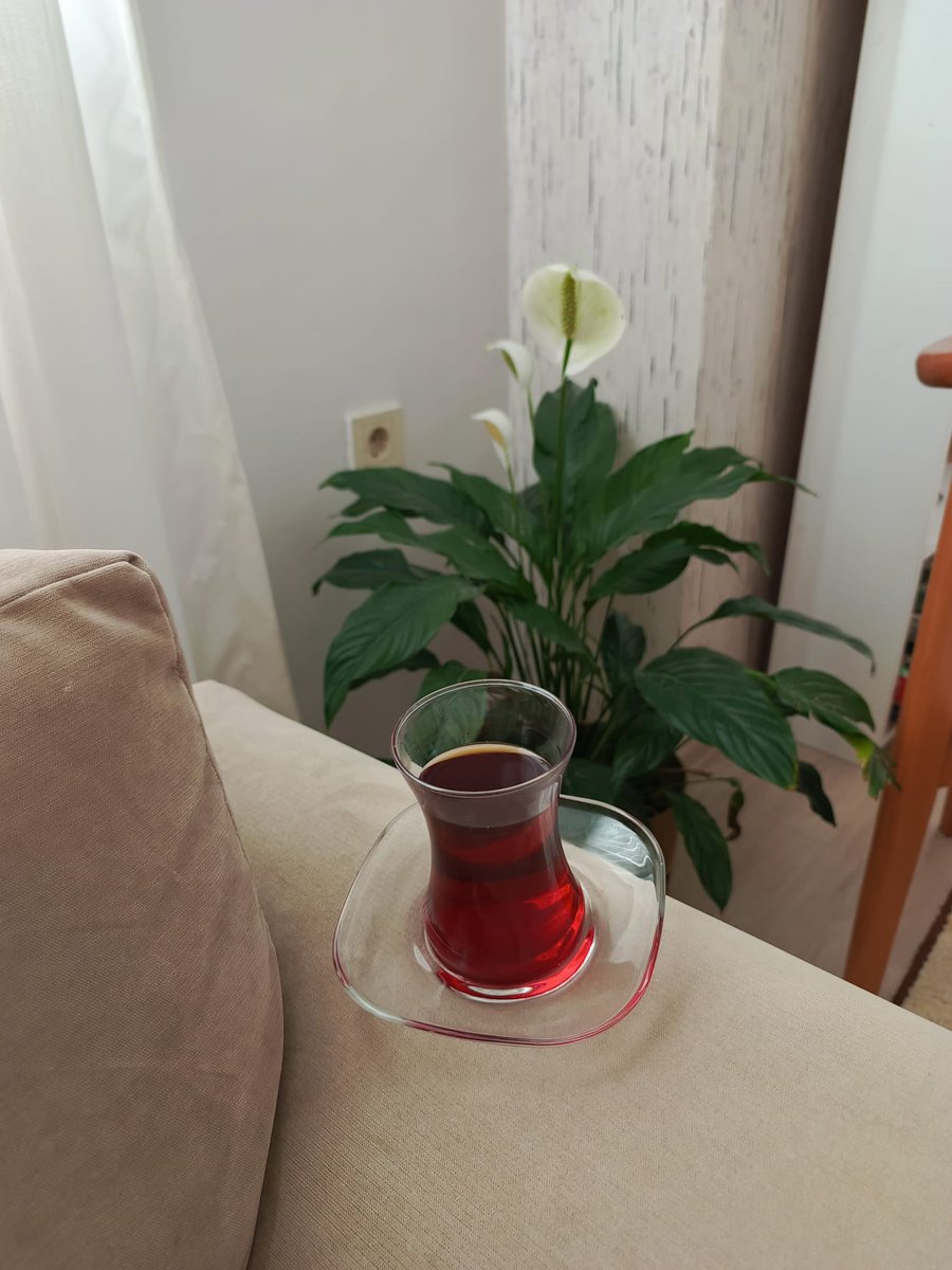 KartalSevdamm's tweet photo. Uzak bir Ülke ve Şehir vardı...!
Gitmeliyim....
GÜNAYDIN 🦅
#perşembe
#umutlar #yolculuk https://t.co/JXcTGVBV85