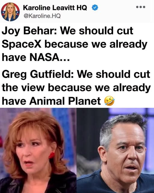 Sofia50020Sofia's tweet photo. What are your thoughts on this? https://t.co/y9SFs2TOAa