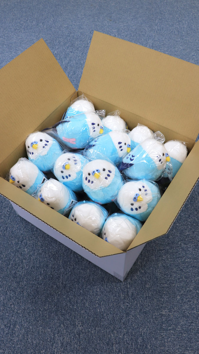 kotorismile_x's tweet photo. いってきます🐦🐦🐦💨💨
来週入荷予定です🗓️✨ https://t.co/nHrg2Yh8fh
