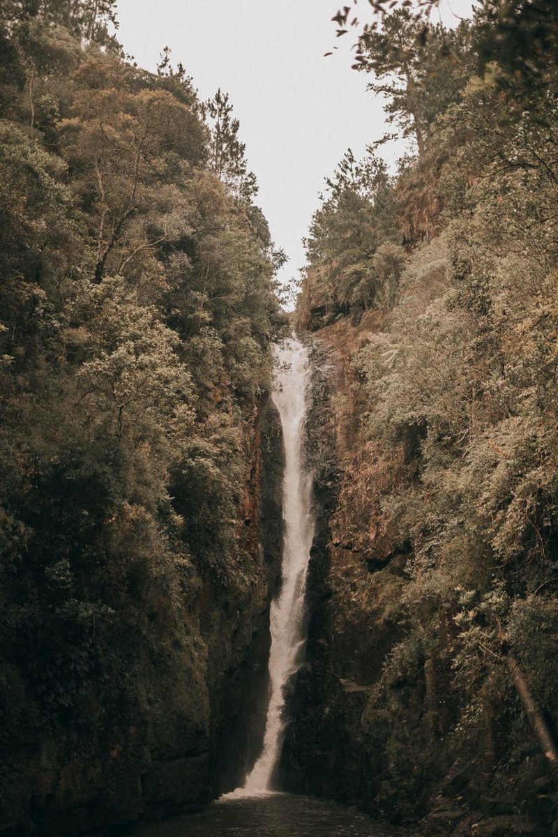 DogusTur's tweet photo. Lost in a natural wonderland. https://t.co/YTCdFlnVFS
