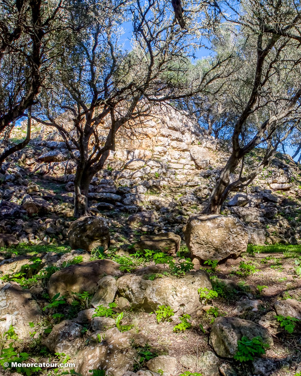 MENORCATOUR's tweet photo. Torrellafuda 🌞🤩🌳📷
👉 Más info: https://t.co/7uMLlLK9Vj
👉 Síguenos en @MENORCATOUR
https://t.co/7b3UKg6YOQ
#Torrellafuda #Menorca #MenorcaTour #Talayot #Taula #Ciutadella #CulturaTalayotica #PatrimonioMundial #Arqueologia #MenorcaParadise https://t.co/k89D6FrJci