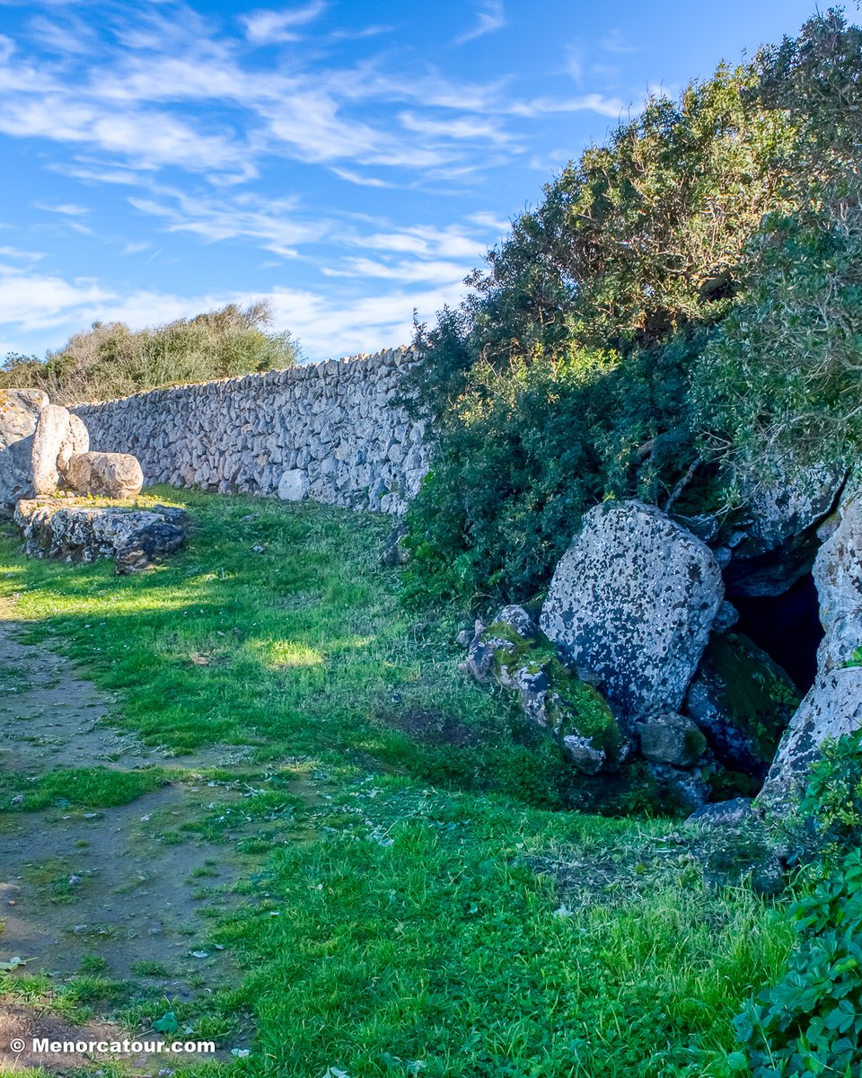 MENORCATOUR's tweet photo. Torrellafuda 🌞🤩🌳📷
👉 Más info: https://t.co/7uMLlLK9Vj
👉 Síguenos en @MENORCATOUR
https://t.co/7b3UKg6YOQ
#Torrellafuda #Menorca #MenorcaTour #Talayot #Taula #Ciutadella #CulturaTalayotica #PatrimonioMundial #Arqueologia #MenorcaParadise https://t.co/k89D6FrJci