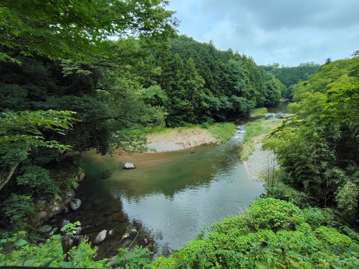 XXtxux's tweet photo. 🌳🌳🌳 https://t.co/W3S7ePP60l