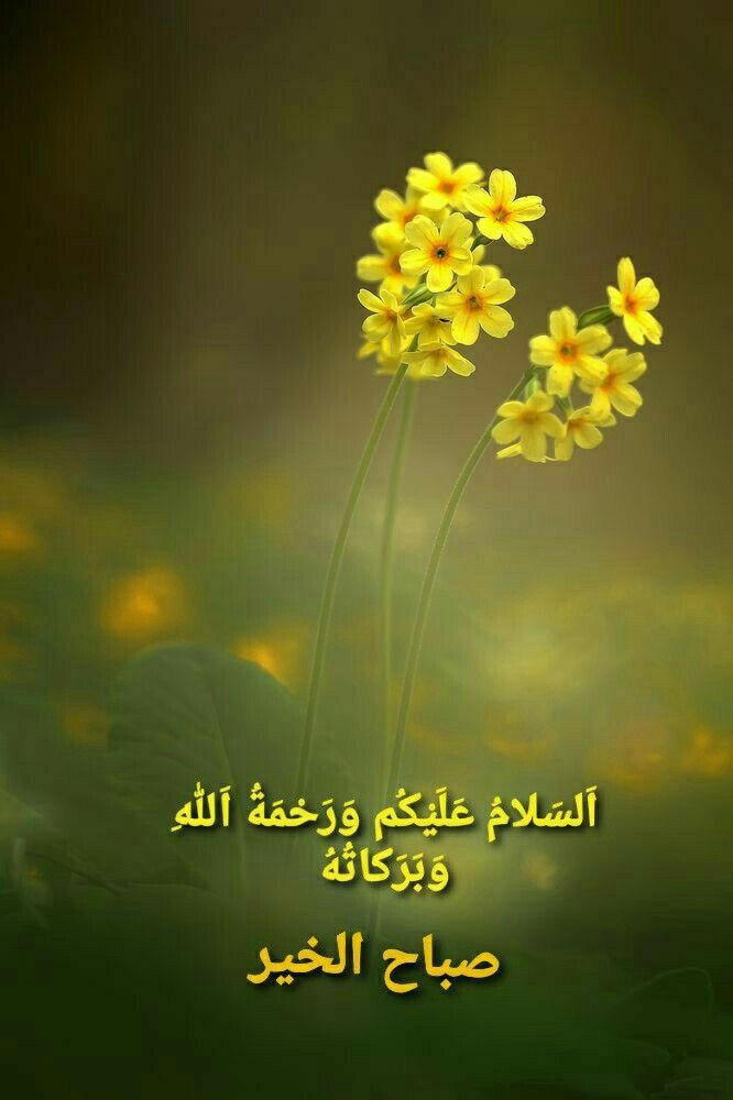 Tahi_damne_arzo's tweet photo. *اللّٰہ تعالیٰ فرماتے ہیں:*
*"اور جو شخص اللّٰہ پر بھروسہ کرے، تو وہ اس کے لیے کافی ہے۔" 🤲✨*
*مشکل وقت میں پریشان ہونے کے بجائے اللّٰہ پر یقین رکھیں، کیونکہ اس کی مدد ہر چیز سے بڑی ہے۔ 💚*
 السلام علیکم 
#تہی_دامن_آرزو https://t.co/yBiEob4vXK