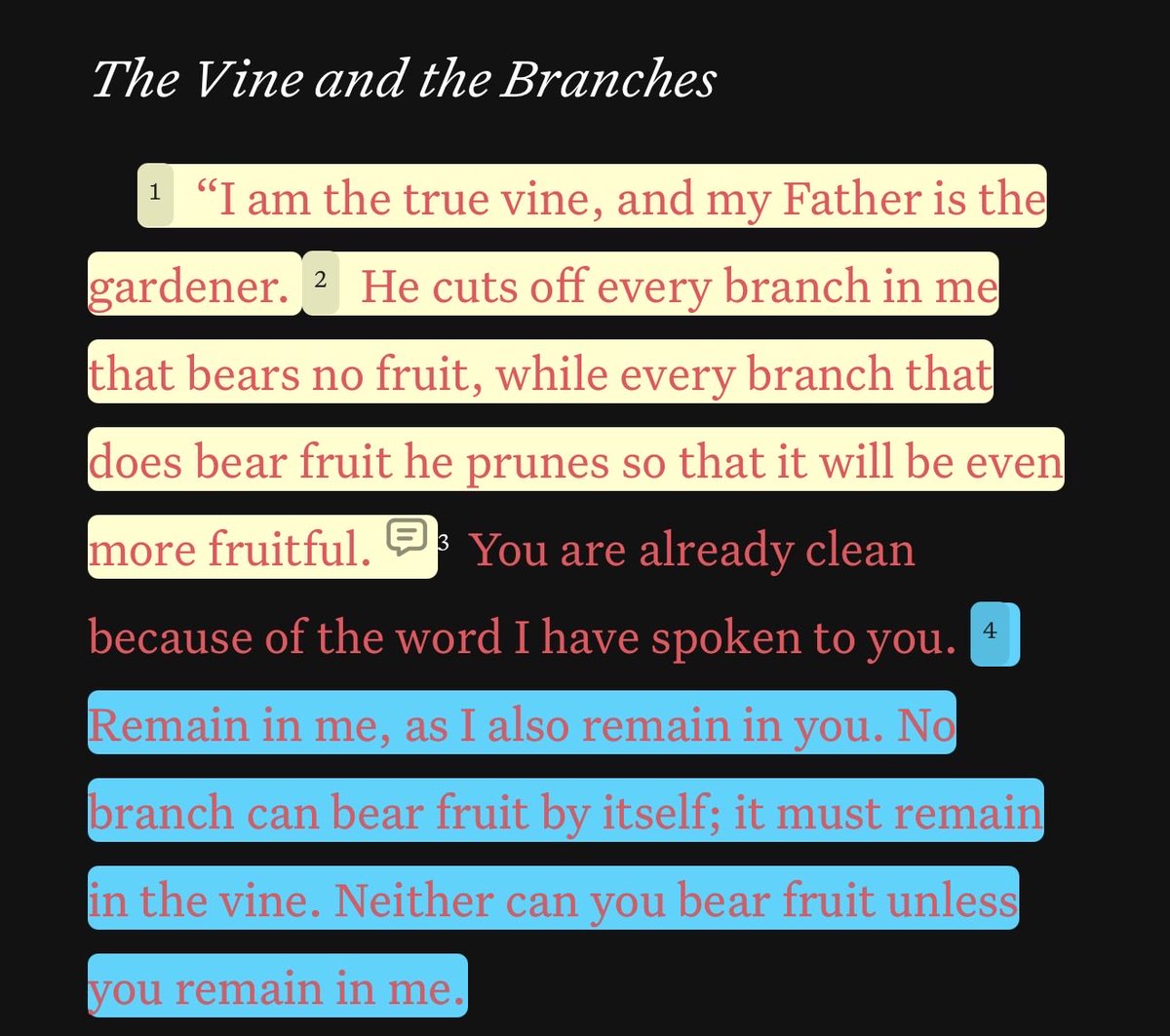 Adebaicy's tweet photo. Remain in me and I remain in you and gradually, what doesn’t represent my identity will be cut off and what represents my identity, that I will make grow; hence, we grow and become transformed-These words of Jesus are honestly deep if reflected upon. https://t.co/s7zPQLISAE