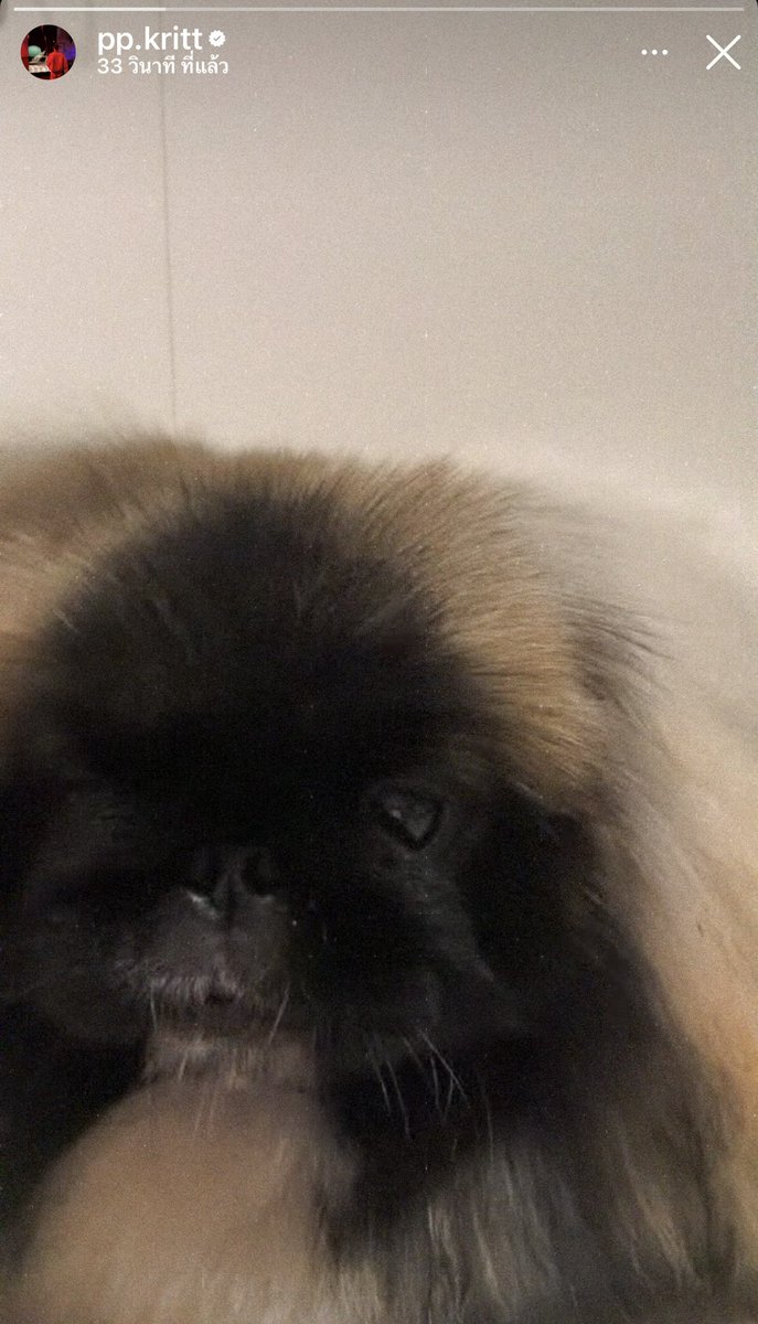 bkpphome's tweet photo. ห๊าา อะไยแว่บบๆๆๆ
#ppkritt https://t.co/RxgKfExRke