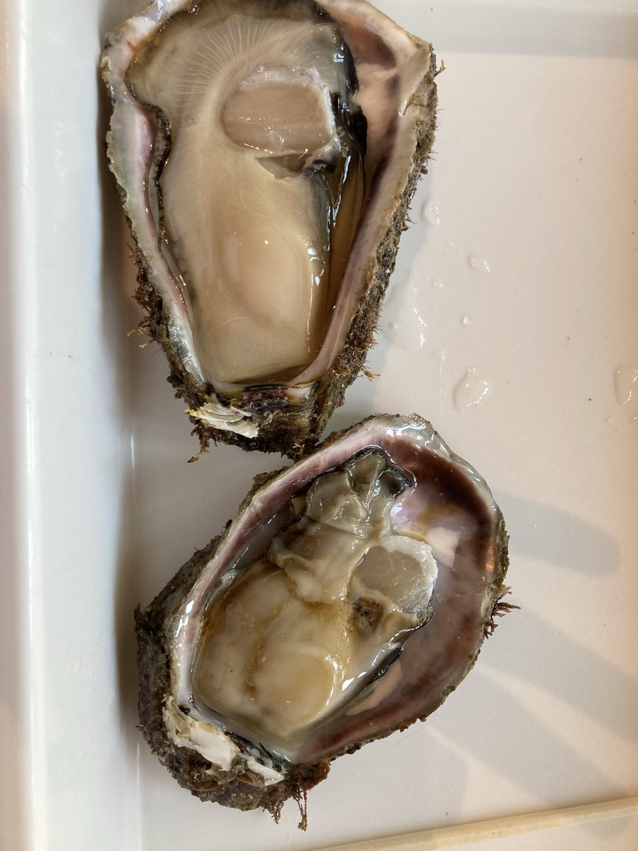 eisakudream's tweet photo. 生地の道の駅で岩牡蠣🦪

正直、これで十分幸せやわ。

高い店もええけど、
地元の旬の魚を食べる贅沢には勝てん。

富山の魚は世界一やと思ってる😎 https://t.co/u9ufE5oX1G