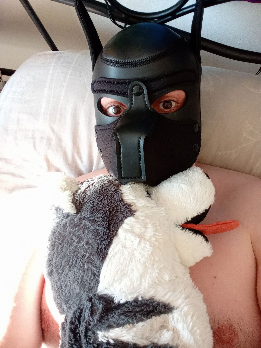 CollectorSissy's tweet photo. https://t.co/1bhYsfaLw2