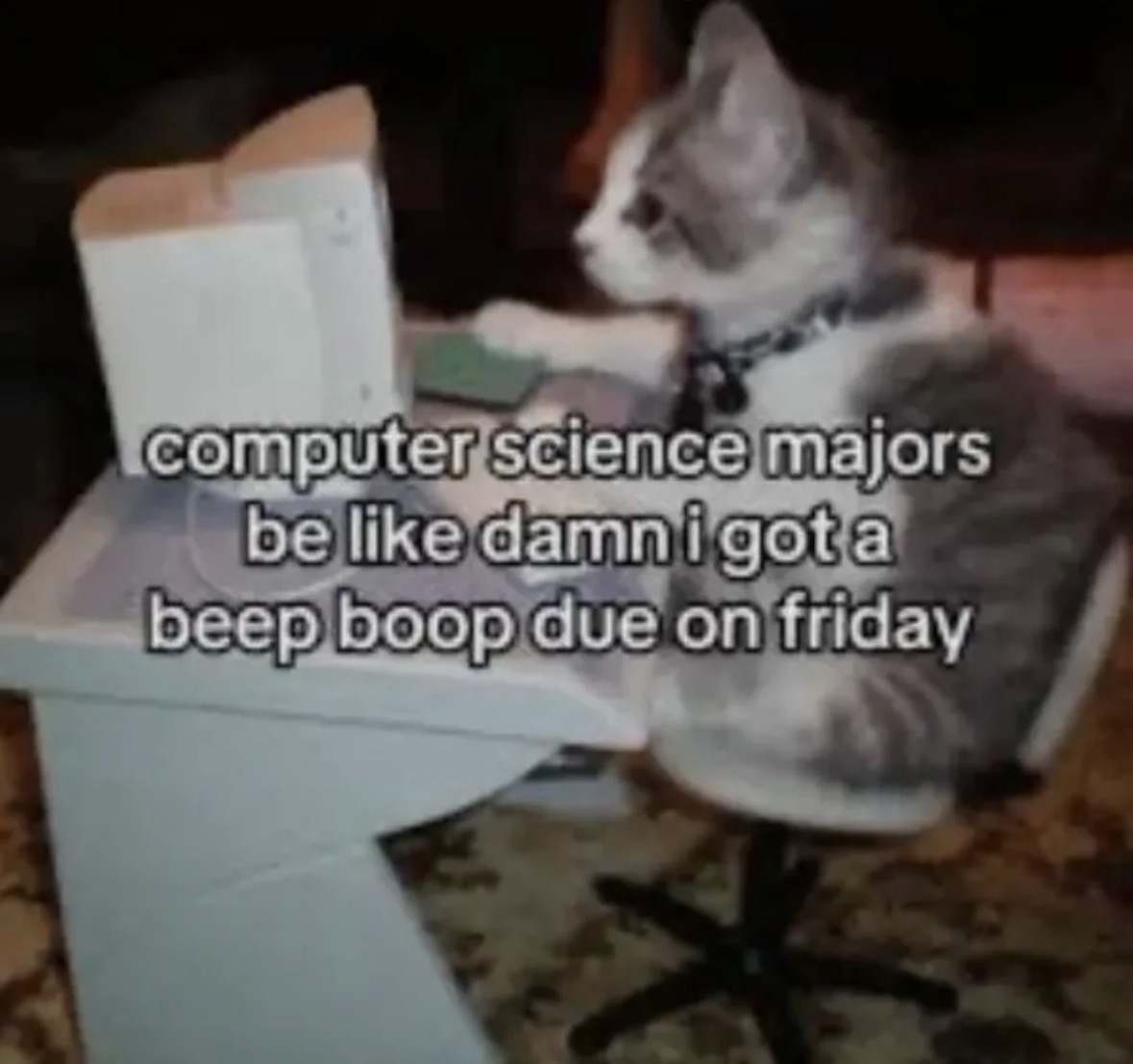 RespectfulMemes's tweet photo. https://t.co/lFnx76f2Ip