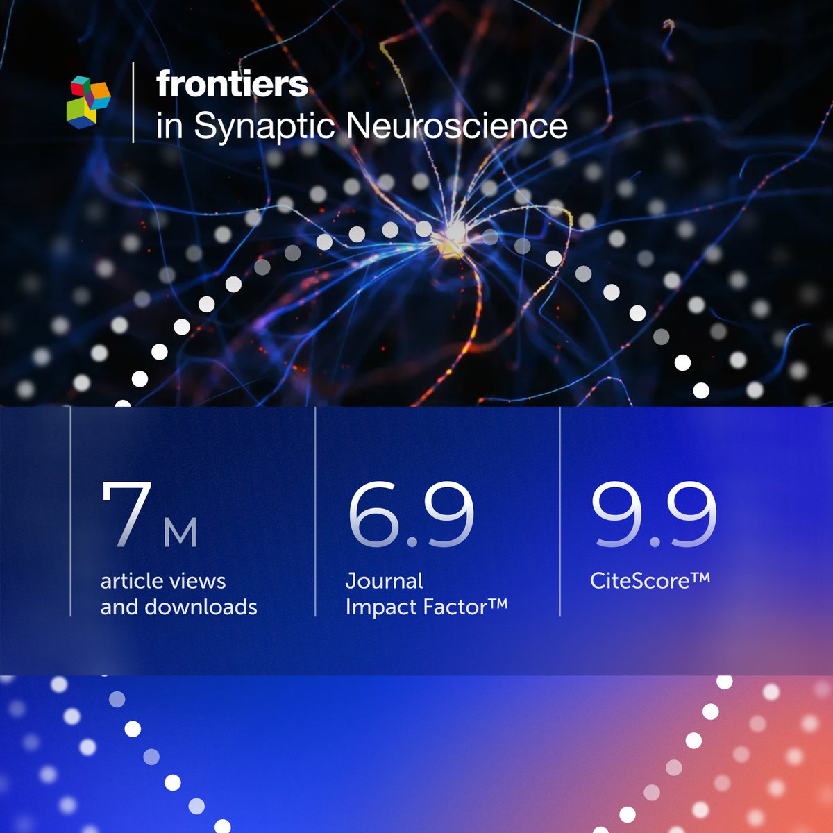 FrontNeurosci's tweet photo. The latest impact metrics for Frontiers in Synaptic Neuroscience are here: a Journal Impact Factor of 6.9 and a CiteScore of 9.9.

Thank you to the authors, reviewers, and editors behind this collective achievement.

Explore the community ⬇️
