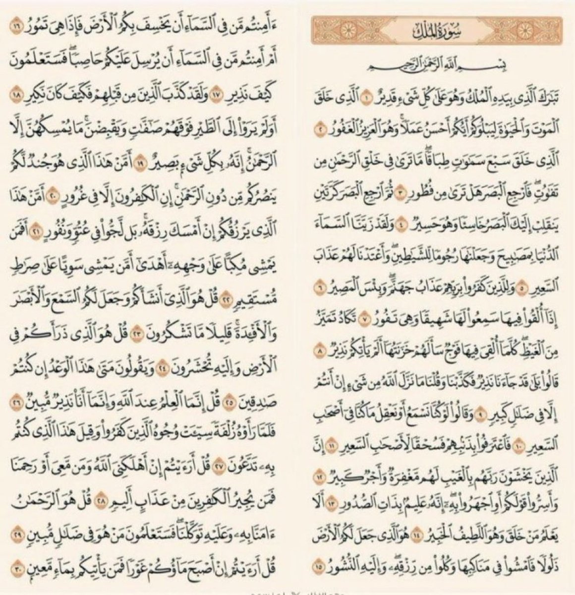 Hadeel31ql's tweet photo. https://t.co/t1QApYrhI1