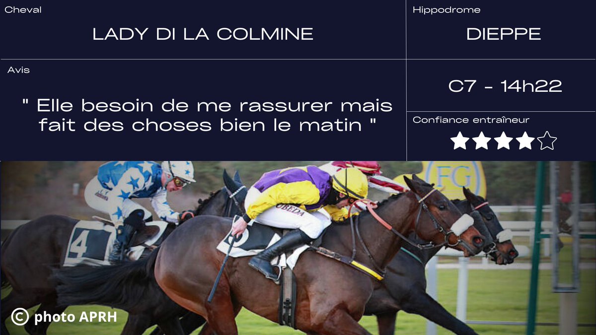 EcurieSeror's tweet photo. #Dieppe 1⃣4⃣ partants 3/5

⭕️ Prix Saint des Saints

🐴 LADY DI LA COLMINE
🧑‍✈️ J. Phelippe

🐴 LUNA LUPA
🧑‍✈️ Th. Poteaux https://t.co/6fgBbEnQ9V