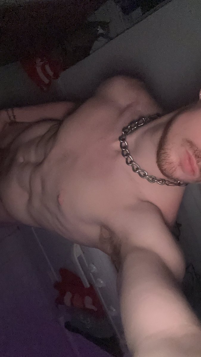 Gingerboyredd's tweet photo. He’s back https://t.co/FNh7TErCbr
