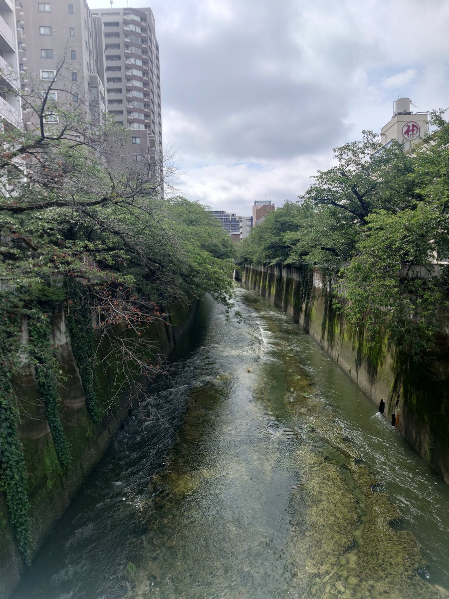 muquila_jun's tweet photo. 子供の頃（3~5歳）に
都電の早稲田駅の近く
目の前が神田川の家に住んでました
新宿区西早稲田までは住所覚えてるけど、すっかり変わってしまってどこがどこだかわからん💦💦
私が住んでたところはマンションになったって聞いたことがあるからここらへんだろうけど
こんなだったかな〜とふらふらする https://t.co/CYc2ovOm8n