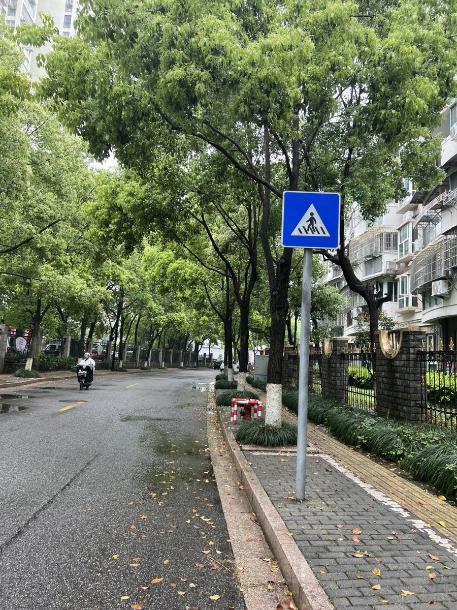 light_resilient's tweet photo. 人生には、好きなこともあれば嫌いなこともありますよね。最近のように毎日雨が続くのもその一つです。
私はこんな天気はあまり好きではありませんが、変えることはできないので、受け入れるしかないのかもしれませんね。そう考えると、できるだけ前向きに過ごしたいと思います。 https://t.co/kehXuf75ab
