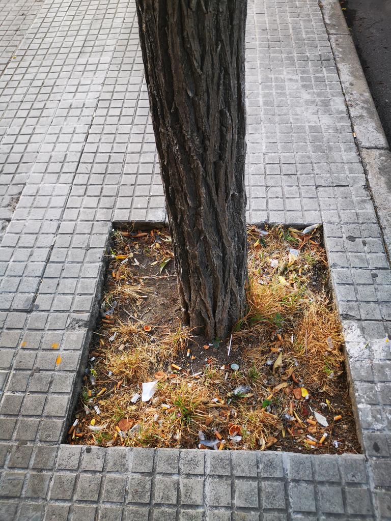 Tarragonalimpia's tweet photo. Així estan les soques dels arbres a la avinguda Roma a la #tarragonabruta  i els carrers per els que passo cada dia igual. Que passa @TGNAjuntament ??? . Des de la @Plat_TgnaNeta treballem per acabar amb aquesta situació https://t.co/QhOpPpNixt