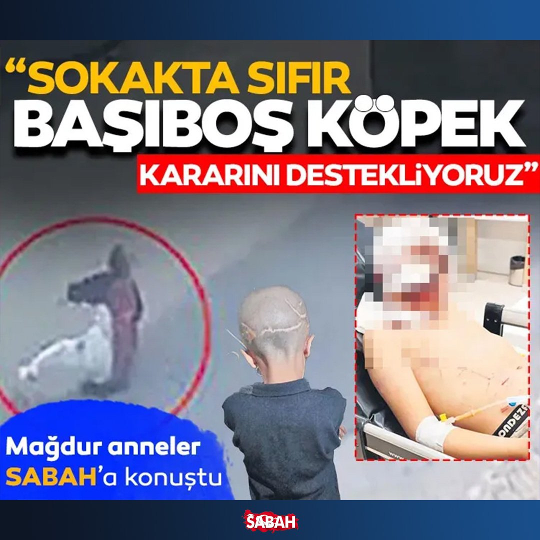 sabah's tweet photo. ➖Çok canımız yandı, başkalarının da başına gelebilirdi
➖’Sokakta sıfır başıboş köpek’ kararını destekliyoruz

Mağdur anneler, İçişleri Bakanı Mustafa Çiftçi’nin sahipsiz sokak köpeklerinin toplanması kararını SABAH’a değerlendirdi.

https://t.co/u8DJKZPSDp https://t.co/n3CNytJNja