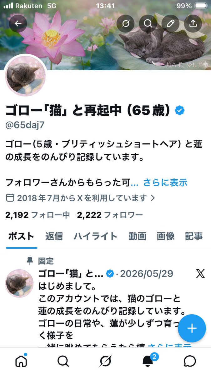 65daj7's tweet photo. 🌙 やった〜‼️ フォロワーさんが2222人に到達しました✨

猫アカウントとして最高に嬉しい瞬間です😭
2222という数字、皆様のおかげで達成できました！
本当にありがとうございます❣️

バイトの合間に偶然スクショできました😂

猫好きに悪人無し❤️
ゴロー「猫」

ラッキーマンデー✌️

#ブリティッシュショートヘア #猫のいる暮らし #ゴロー #癒し #猫好きさんと繋がりたい