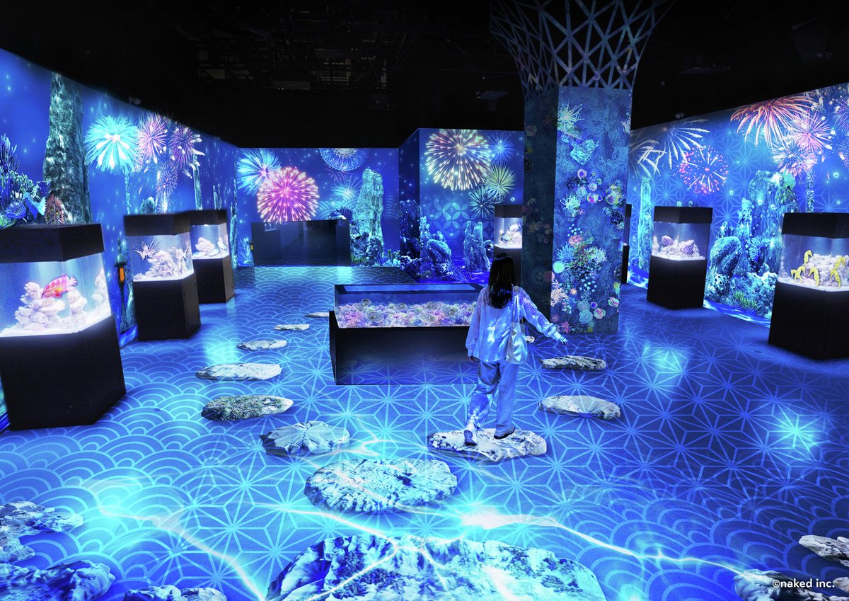 _aquapark_'s tweet photo. ＼COMING SOON／
7月4日(土)～9月6日(日)の期間、夏イベント「花火アクアリウム by NAKED」を開催✨
演出テーマは“音や光、水のきらめきが織りなす、海の世界の花火祭り”🐠🎆

まるで海中を散歩しているかのような幻想的なデジタル花火や色彩豊かな生きものの展示など屋外の暑さを忘れるような“納涼体験”をお届けします☺️！

また、ドルフィンパフォーマンスでは、イルカたちとさまざまな“楽しい”を探すゲスト参加型のデイver.「Summer FUN Research」と、華麗なデジタル花火が打ちあがる中、イルカたちが舞うナイトver.「瑠璃花火 -Digital Fireworks-」の、昼夜で異なるパフォーマンスをお楽しみいただけます🐬✨

▼詳細はこちら
https://t.co/MKktXCDNQ3

#花火アクアリウム
#海の世界の花火祭り
#マクセルアクアパーク品川
#MaxellAquaParkShinagawa