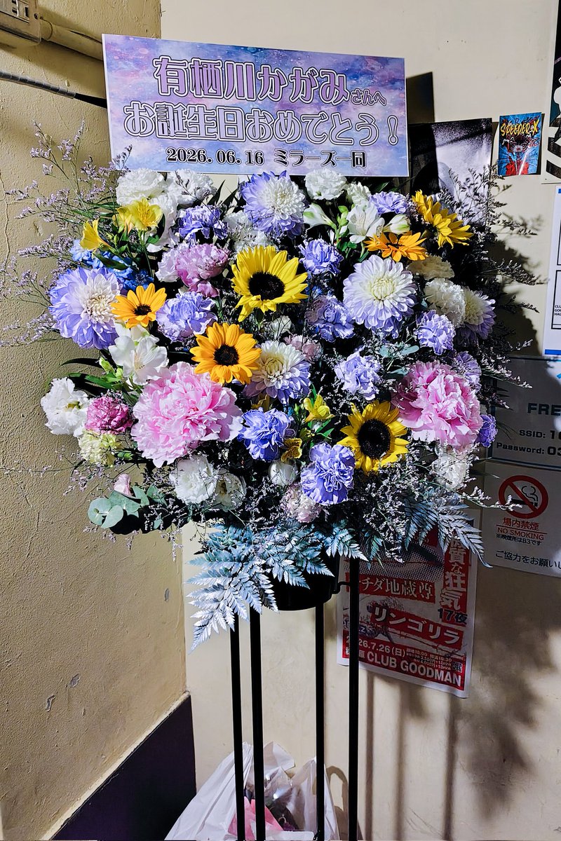 OGkose's tweet photo. 2026.6.16 秋葉原GOODMAN
有栖川かがみ🪞
バースデー当日ライブ✨️②
ラベンダー💜レモンドロップ🍋
とっても温かくて素敵な生誕ライブでした!!😺 https://t.co/6taoSNn1A9
