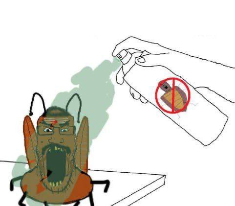 Jeet pest control tweet media