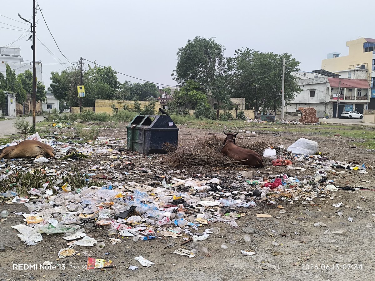 ankurrampur's tweet photo. @RampurDm कृपा इस गंदगी से मुक्ति दिलवाएं🙏
ये स्थिति है रोशन बाग सिविल लाइंस में आस पास के रेस्टोरेंट ,जैसे चिराग़ चिकन,रामपुर शाही खाना , सिंह साब फूड , ओर जो आस पास रेहड़ी लगाते हैं मोमोज , पानी पूरी वाले वो सब कूड़ा डस्टबीन में नहीं डालते है आवारा पशु भी यही पड़े रहते है https://t.co/X5sWVesvYG