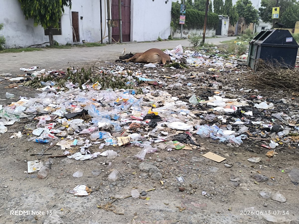 ankurrampur's tweet photo. @RampurDm कृपा इस गंदगी से मुक्ति दिलवाएं🙏
ये स्थिति है रोशन बाग सिविल लाइंस में आस पास के रेस्टोरेंट ,जैसे चिराग़ चिकन,रामपुर शाही खाना , सिंह साब फूड , ओर जो आस पास रेहड़ी लगाते हैं मोमोज , पानी पूरी वाले वो सब कूड़ा डस्टबीन में नहीं डालते है आवारा पशु भी यही पड़े रहते है https://t.co/X5sWVesvYG