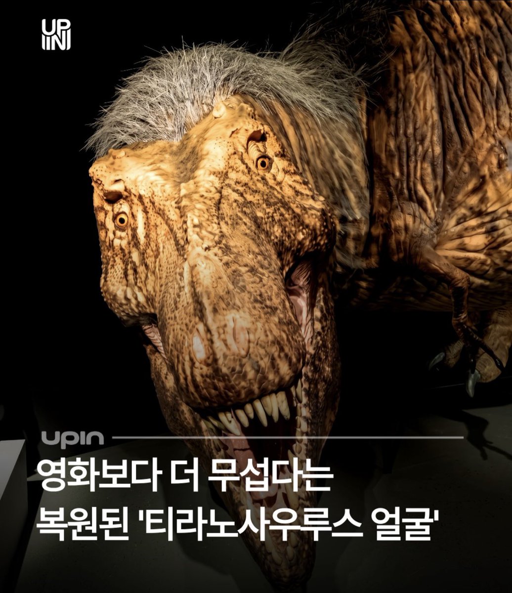lrfhxe's tweet photo. ‼️공룡 좋아하는 레이디들‼️
티라노사우르스 얼굴좀봐ㅜㅜ 존나 무서워 진짜 https://t.co/ghQMx8ng7D
