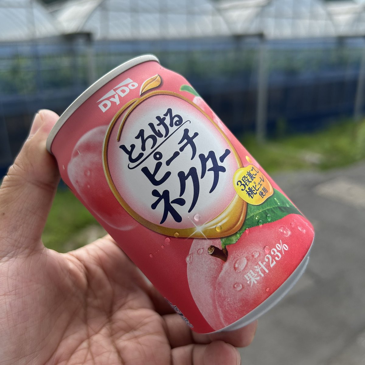 Mitsu_ShadowS's tweet photo. うまっ https://t.co/fTy4vkuUkS
