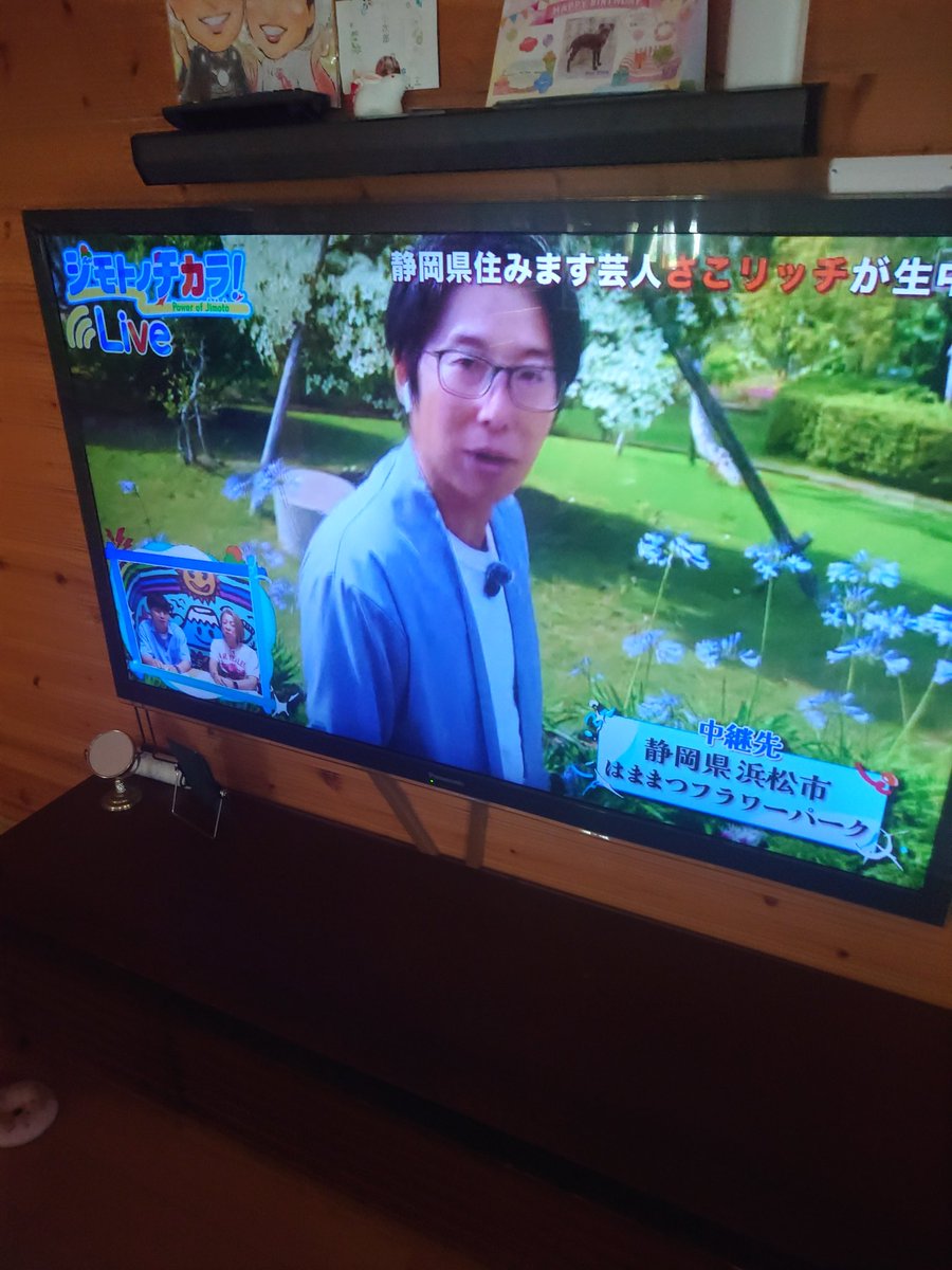 さこリッチ (@maesakoyasunari) / Posts / X