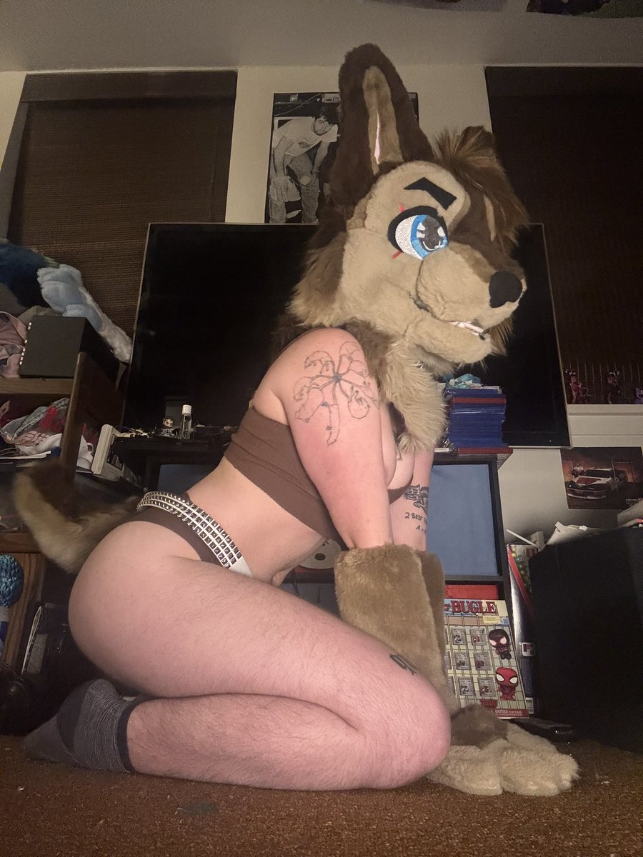 wolfcanwolfwont's tweet photo. cleaned my room so enjoy these :3 #nsfwtwt #softsuiter #murrsuiter #boobs #tits #ass #anal #tdick #pussy #dmsopen https://t.co/ssqN1EZhqt