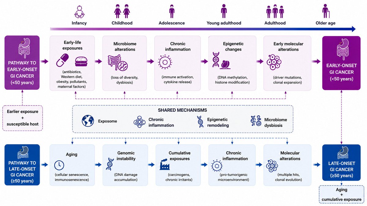 josepereag's tweet photo. Shared and differential mechanisms of early-onset and late-onset GI cancers. Our Review on Expert Review in Anticancer Therapy journal published this week, a comparative approach not only to #EOCRC but all the EO-GI cancers and their Later-onset counterpart. https://t.co/qk0tcrdbEr