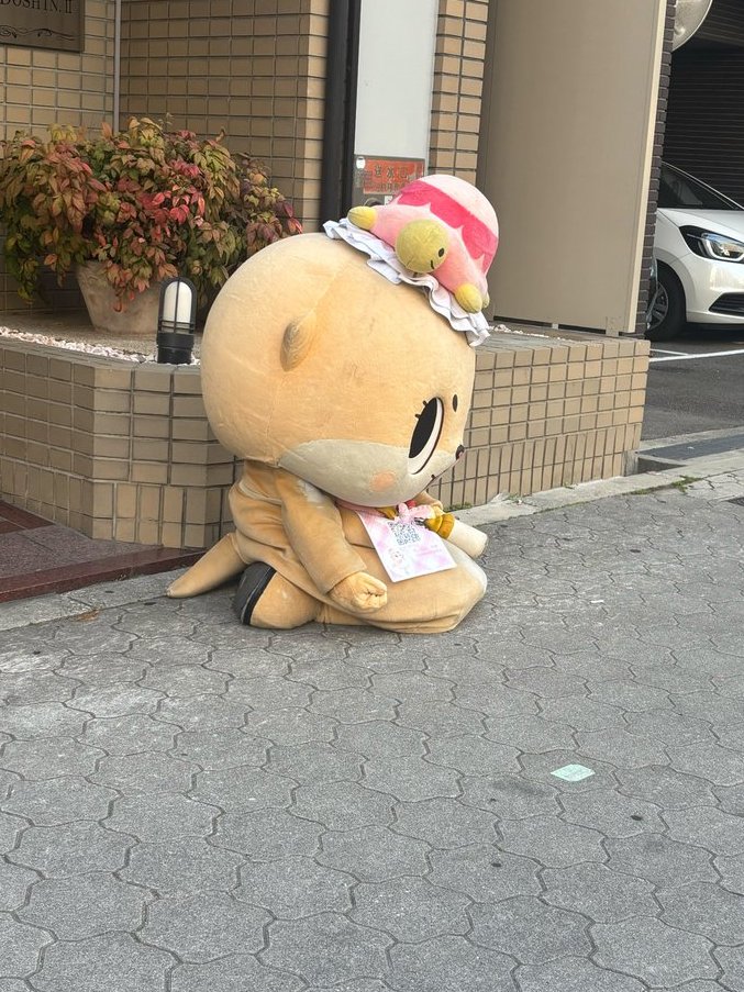 ♥けぃたん様♥ 公式：ちぃたん☆大阪 (@Chiitan_Osaka) / Posts / X