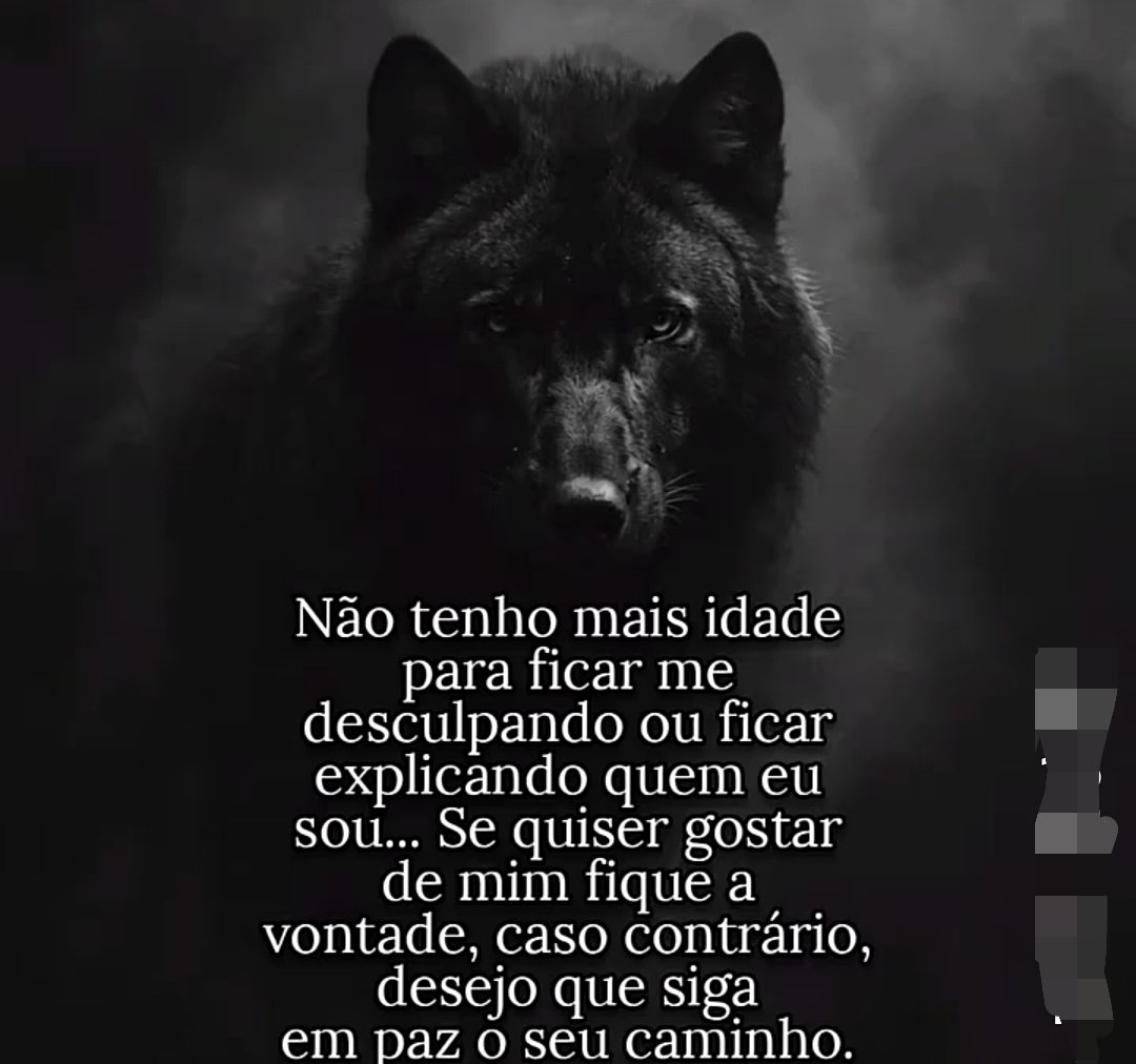 leonardo_log's tweet photo. https://t.co/mJNQ5HSOk3