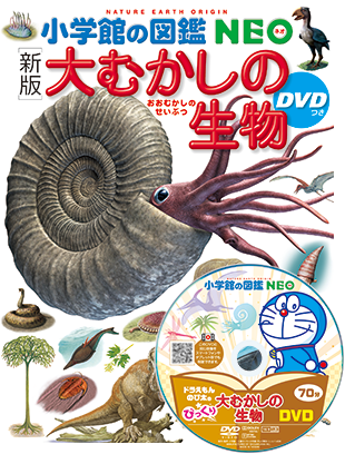 ZUKAN_NEO_PR's tweet photo. 図鑑NEO ［新版］#大むかしの生物 本日発売です📕✨

不思議な形のものや、びっくりするほど大きな生物も紹介。生命の進化の歴史とロマンを感じられます。
https://t.co/WnorFDz4gA https://t.co/aYe5SQM4lv