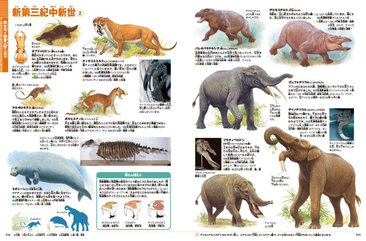 ZUKAN_NEO_PR's tweet photo. 図鑑NEO ［新版］#大むかしの生物 本日発売です📕✨

不思議な形のものや、びっくりするほど大きな生物も紹介。生命の進化の歴史とロマンを感じられます。
https://t.co/WnorFDz4gA https://t.co/aYe5SQM4lv