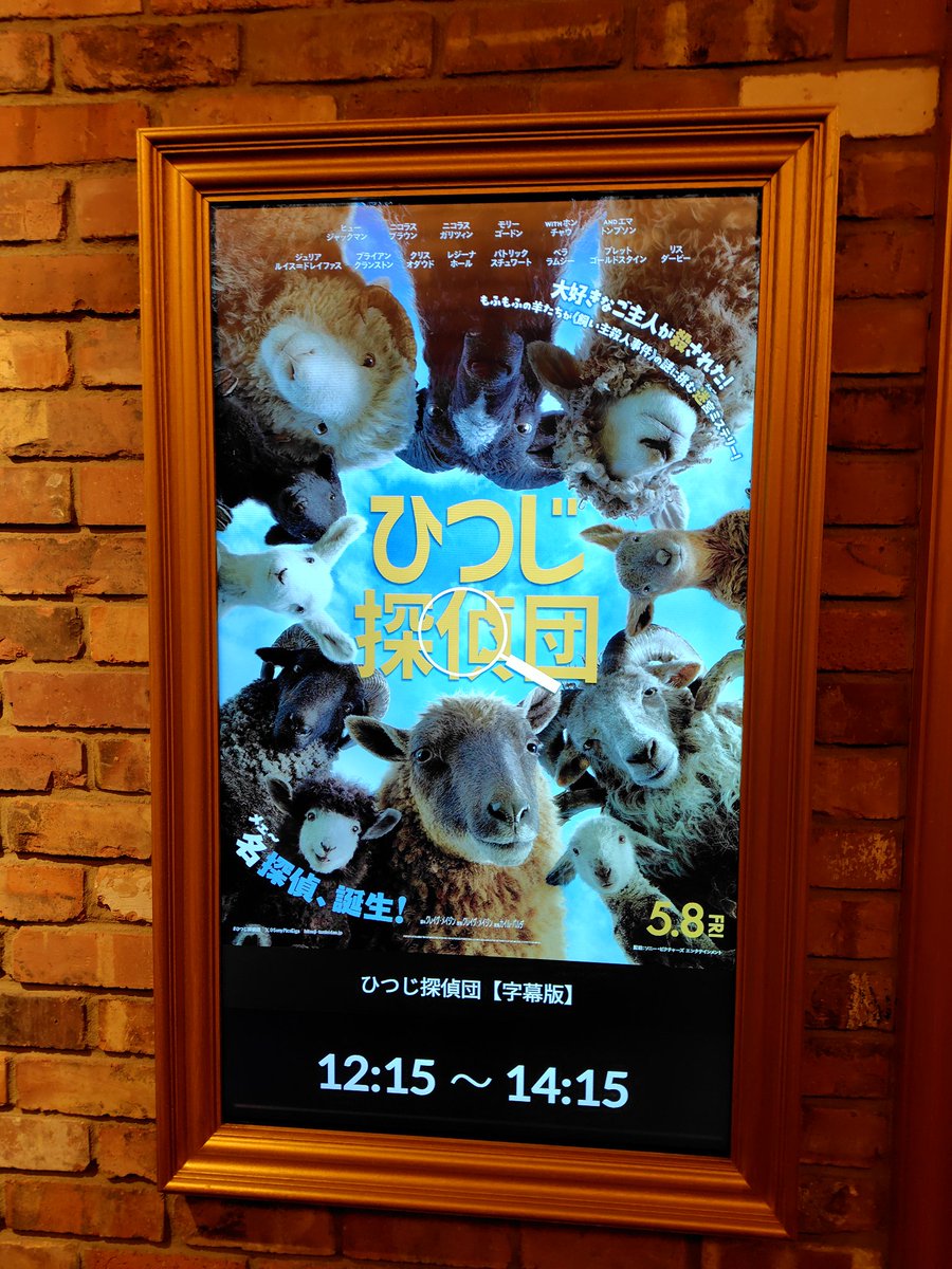 thirdsirokuma's tweet photo. 「ひつじ探偵団」終了。
4回目でも胸がジーンときた良い映画です🐏
動物映画でミステリーって何事？って思いつつ観始めたけどミステリーでありつつヒューマンドラマでもあった。
羊映画がヒューマンドラマって何事？ https://t.co/TI9XignbKm