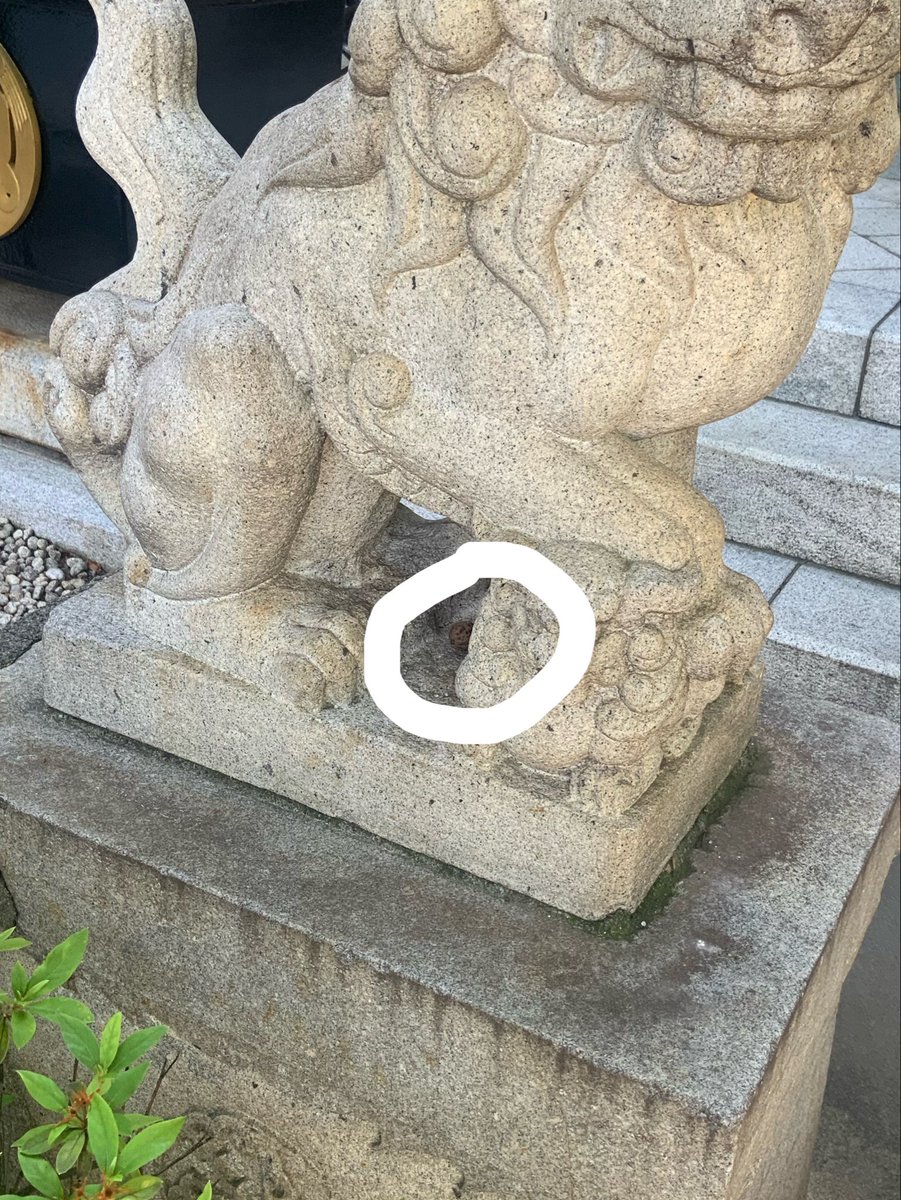 hanabusa_akiba's tweet photo. 胡桃のお供え…
なんだろう？ってずっと思ってたんですが神田明神さんに手を合わせに行ったらそこにも胡桃が。。。

調べたらお供えとして縁起物みたいですね^ ^

秋葉原に来たら花房稲荷神社に寄ってもらえたら嬉しいです⛩️ https://t.co/1Loo3Dkx70